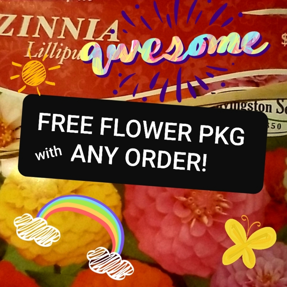 🌼 𝗙𝗥𝗘𝗘 Flower pkg w/ purchase🦋🎉